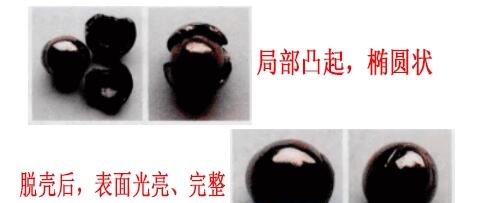NG娱乐